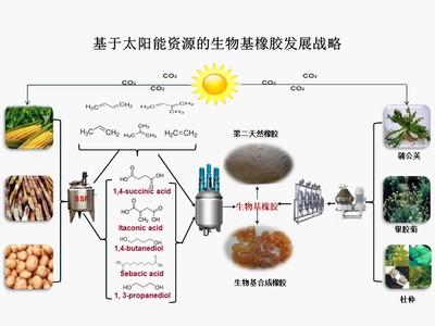 &ldquo;十三五&rdquo;國家重點研發計劃項目&ldquo;新型生物基橡膠材料制備技術與應用示范&rdquo;順利通過項目綜合績效評價