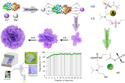 張梁教授團(tuán)隊(duì)在Chemical Engineering Journal發(fā)表了多金屬基磷酸三酯酶雜化納米花對有機(jī)磷化合物去除的研究成果