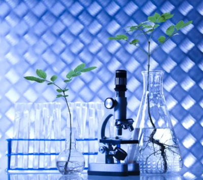 三農(nóng)日?qǐng)?bào)|政策:鼓勵(lì)資本助推生態(tài)循環(huán)農(nóng)業(yè);農(nóng)村新電商模式正成為趨勢(shì)