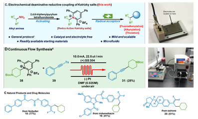 生物與制藥工程學(xué)院郭凱教授團隊在Nature Communications報道微流場電化學(xué)合成領(lǐng)域新進(jìn)展