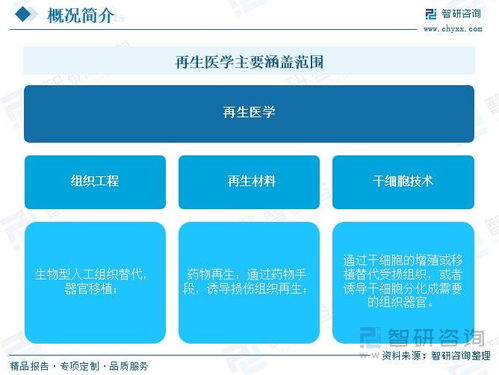 再生醫(yī)學(xué)行業(yè)前景如何 先進(jìn)醫(yī)療技術(shù)需求增長,全球市場規(guī)模加速擴(kuò)容